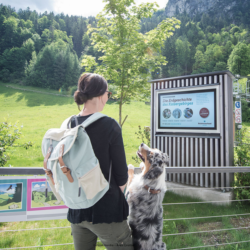 outdoor-stele-hund