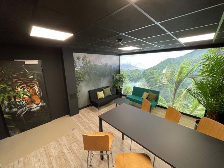 Wandfolie: Dekoration, Schutz und einfache Anwendung